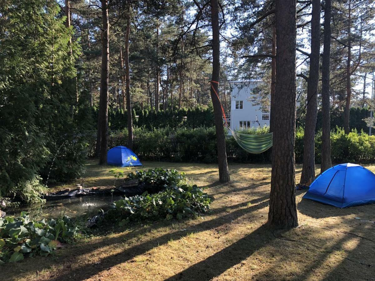Freedom65 Hostel And Caravan Reval Esterno foto